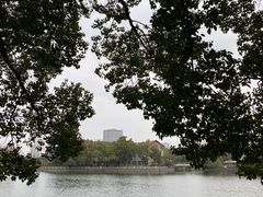 -月湖公园