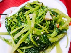 -蛇口康乐快餐鱼仔档(翠苑小区店)