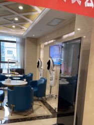 -碧莲盛·不剃发植发