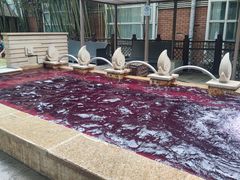 -春晖园度假酒店温泉