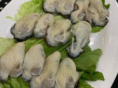 -蚝专家