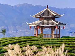 -程阳八寨景区