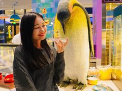 -帝企鹅自助餐厅•儿童岛•真企鹅(长隆企鹅酒店)