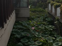 -湘湖金融镇