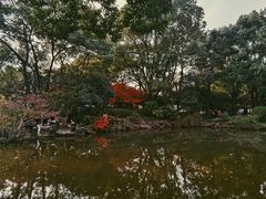 -汇龙潭