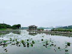 -松山湖风景区松湖烟雨