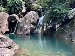 -广州市流溪河国家森林公园