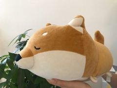 -五进制 Coffee Shop
