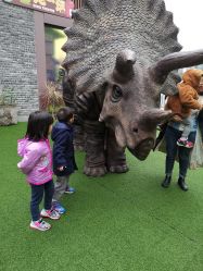 点击看大图 -恐龙探索乐园(磁器口店)