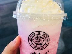 AD荔枝波波冰-娃哈哈奶茶(富阳鹿山时代店)