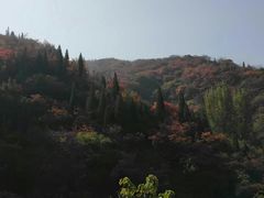 景点-青龙山生态文化旅游区(慈云寺)