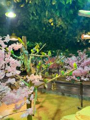 -酷嗒动物文化乐园(cutezoo西溪乐天城店)