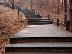 -北京西山国家森林公园