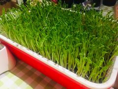 -番食园鲜食火锅(高新店)