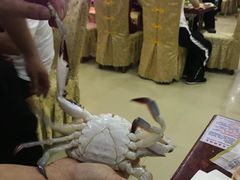 -春华海鲜城(广场西苑店)