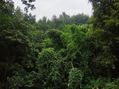 -团城山公园