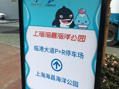 -上海海昌海洋公园-停车场