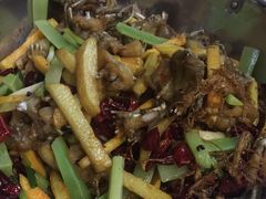 干锅牛蛙-馋嘴蛙火锅