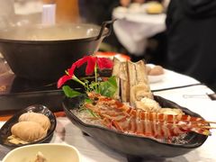 -鲜入围煮花胶鸡海鲜火锅