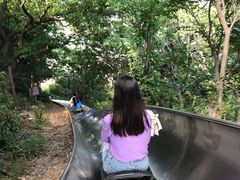-富斯特索道