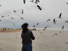 -老虎石海上公园