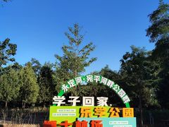 -绿堤公园