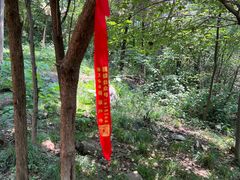 -南京老山国家森林公园