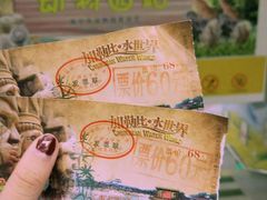 门票-南宁加勒比水世界