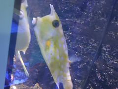 -石家庄海洋公园
