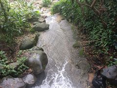 -火炉山森林公园