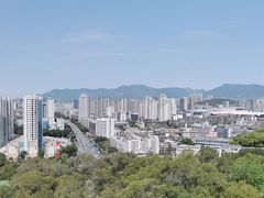 -金鸡山公园