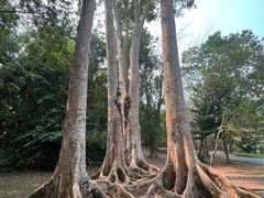 -中国科学院西双版纳热带植物园