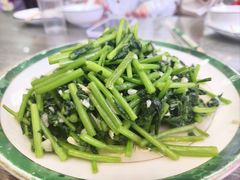 蒜泥茼蒿-林之六八·6886大连老菜馆
