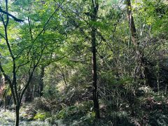 -梦姑塘文化公园