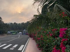 -海南铜鼓岭景区