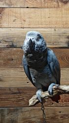 -Zoolung Zoolung动物主题公园(海信广场店)