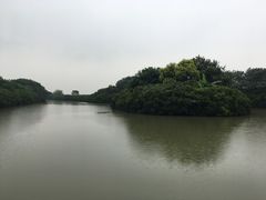 -大湾区中央湿地公园