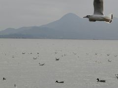-深圳湾公园(南山区)
