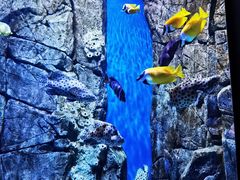 -成都浩海立方海洋公园