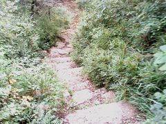 -王顺山国家森林公园