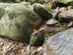 -王顺山国家森林公园