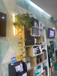 -黑奥秘脱发白发中心