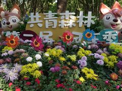 -上海共青森林公园