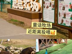 -盈香心动乐园