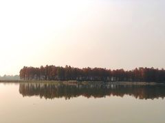 -东湖落雁景区