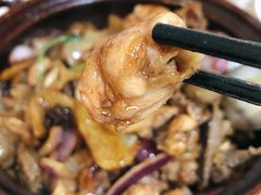 -胡须佬鸡煲四季火锅(龙珠大道店)