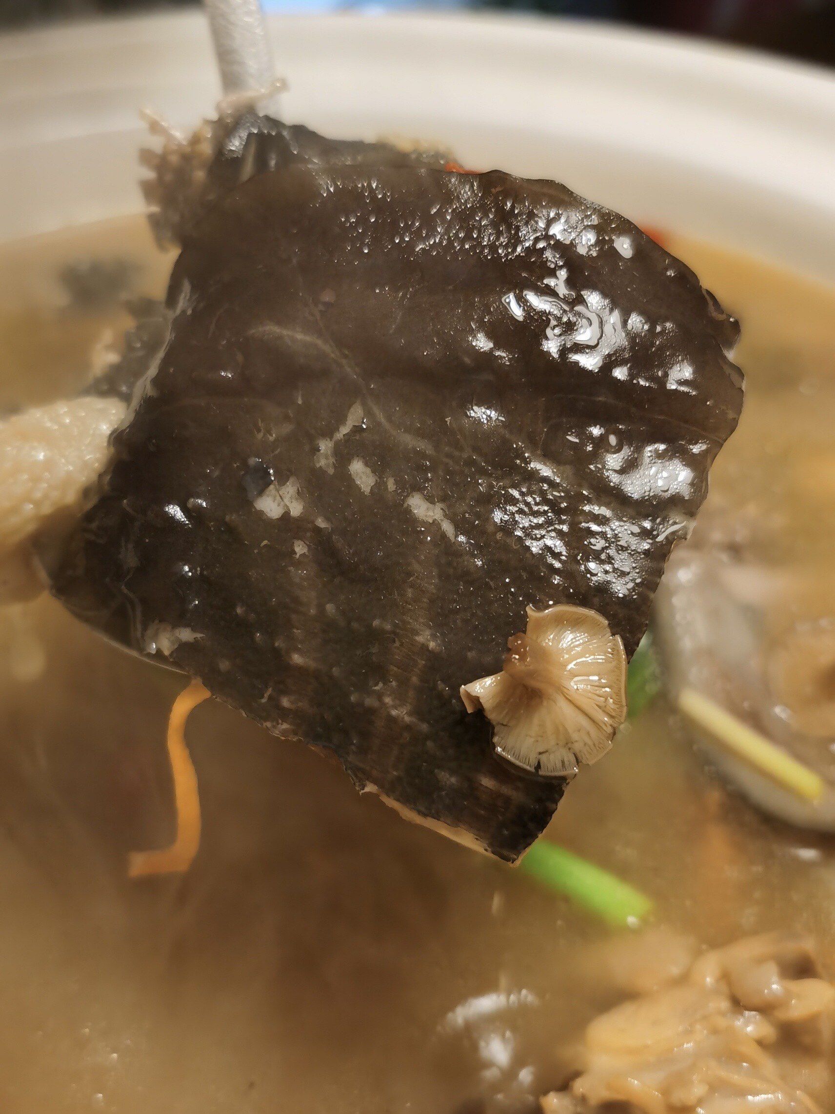 滋味十足的补身甲鱼汤