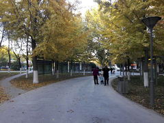 android_upload_pic-康庄公园