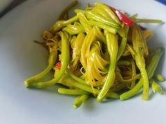 -和雅集素斋(景区店)