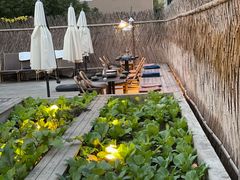 -毛辣果·酸(OHA复兴西路店)